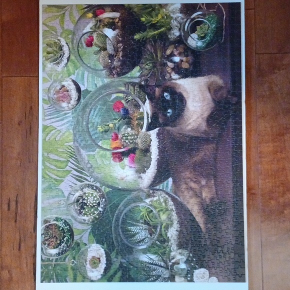 🧩Terrarium Cat 1000 piece puzzle - Picture 3 of 6